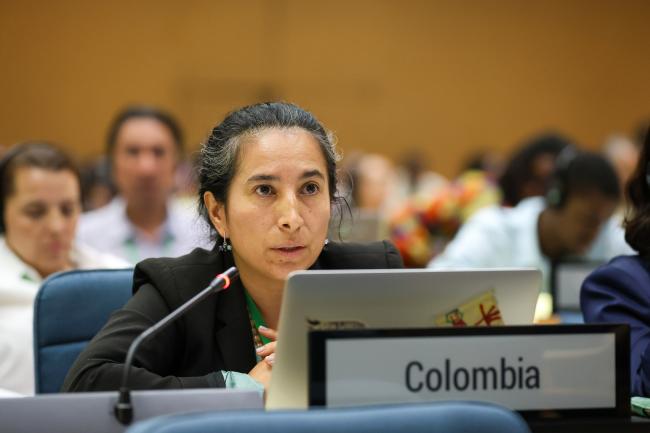 Laura Bermúdez Wilches, Colombia