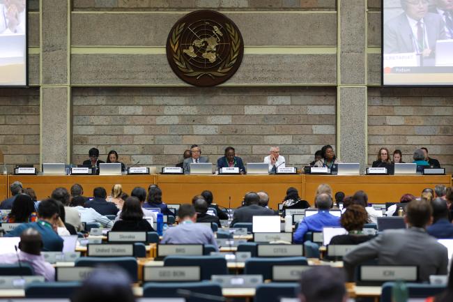 View of the dais during the morning plenary