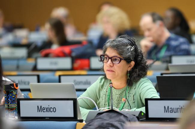 Andrea Cruz Angón, Mexico