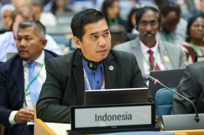 Danny Rahdiansyah, Indonesia