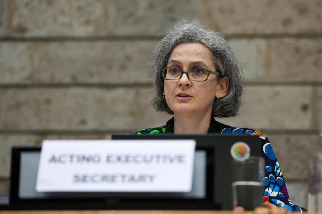 Kathryn Garforth, CBD Secretariat