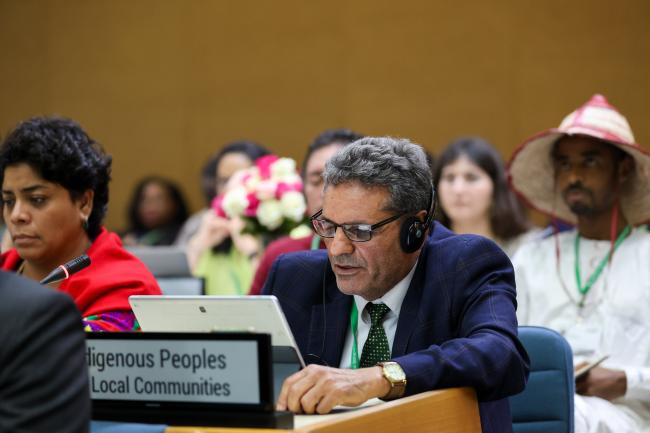 Mohamed Handaine, Indigenous Peoples of Africa Coordinating Committee