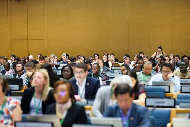 View of the room during the morning plenary