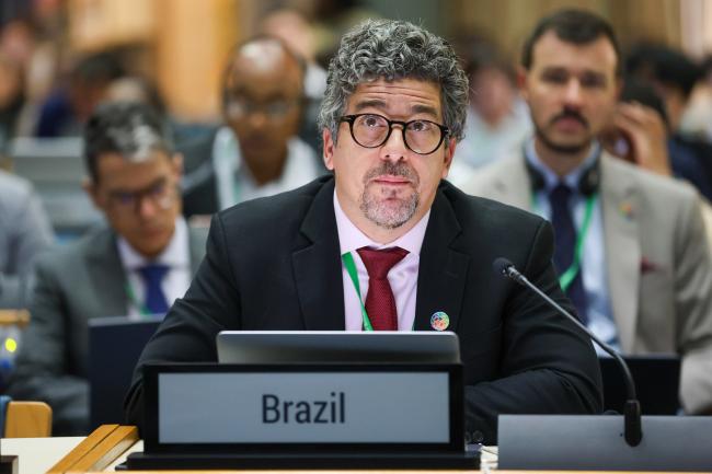 Gustavo de Britto Freire Pacheco, Brazil