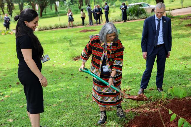 Tree Planting