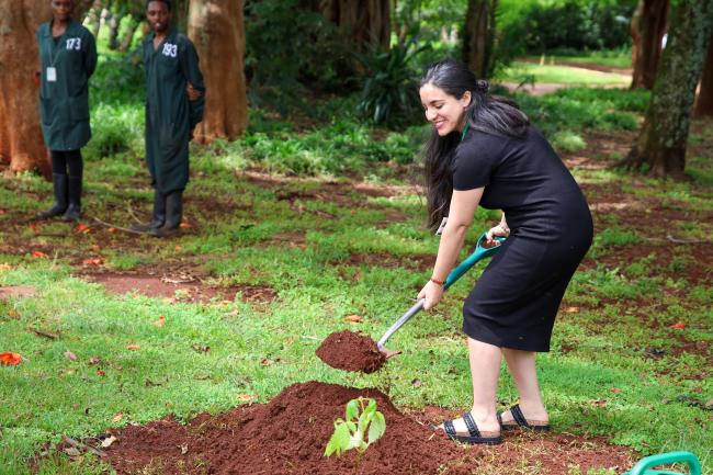 Tree Planting