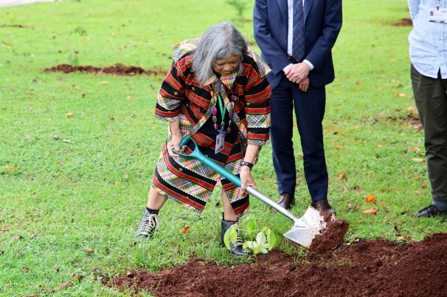 Tree Planting