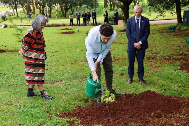 Tree Planting