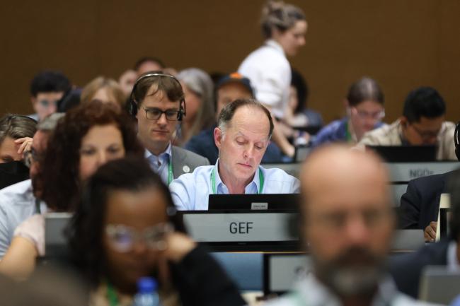 Mark Zimsky, Global Environment Facility
