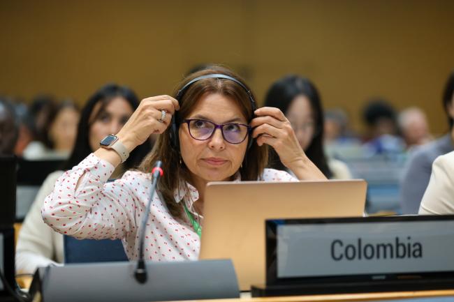 María Teresa Becerra Ramírez, Colombia