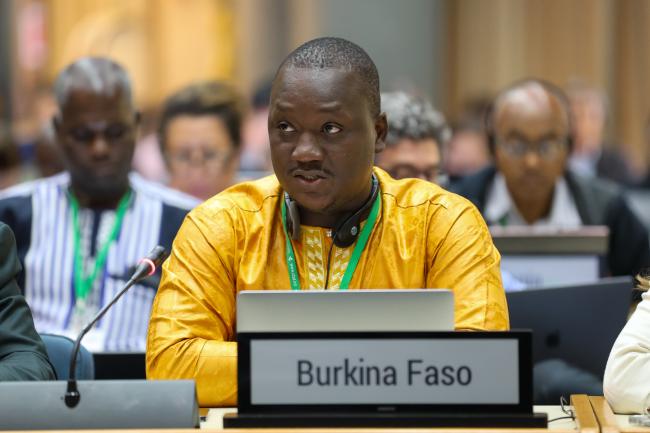 Mathurin Wen-Rabo Rouamba, Burkina Faso