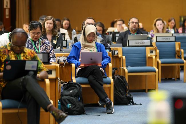 Plenary
