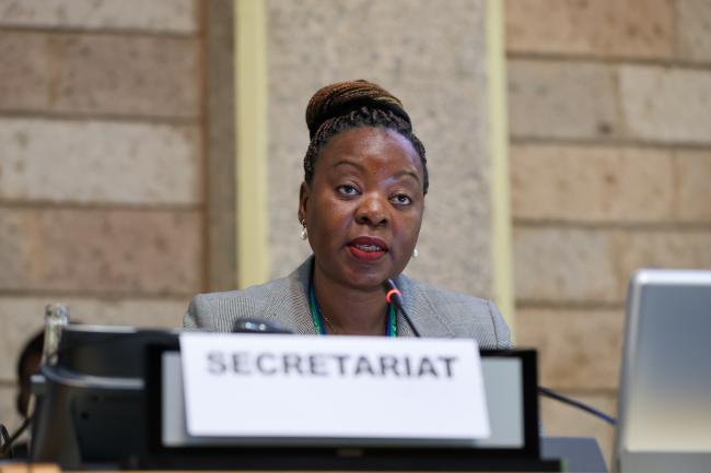 Inonge Kwenda Mweene, CBD Secretariat