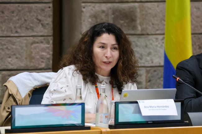 Ana María Hernández, Senior Advisor to the COP 16 Presidency