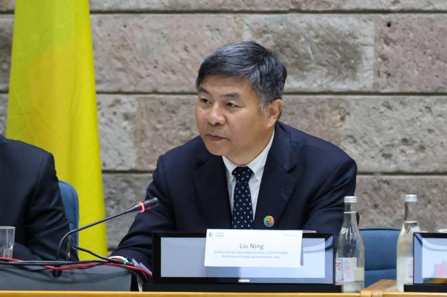 Liu Ning, Deputy Representative of COP 15