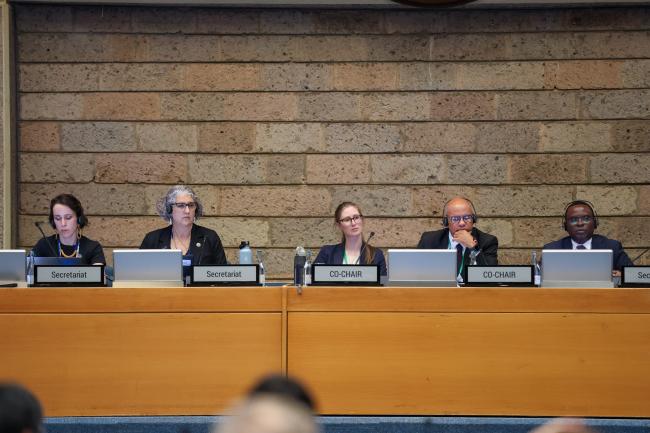 View of the dais during the Contact Group on capacity building and development, technical and scientific cooperation, "View of the room during the Contact Group on capacity building and development, technical and scientific cooperation, and technology transfer