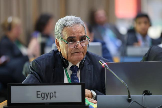 Moustafa Fouda, Egypt