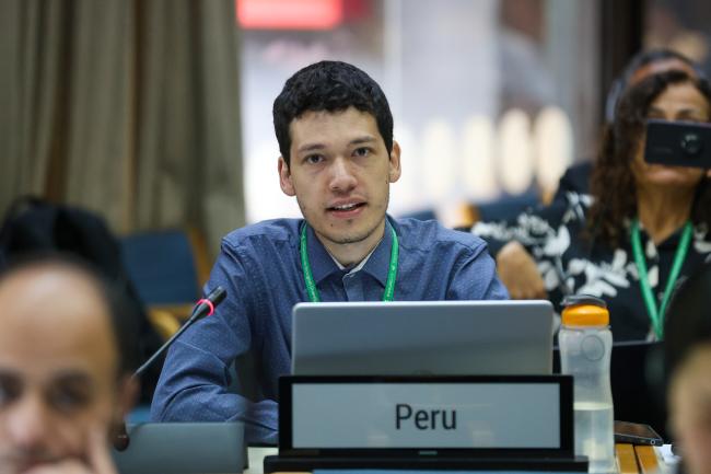 Jharison Vidal Heidinger, Peru