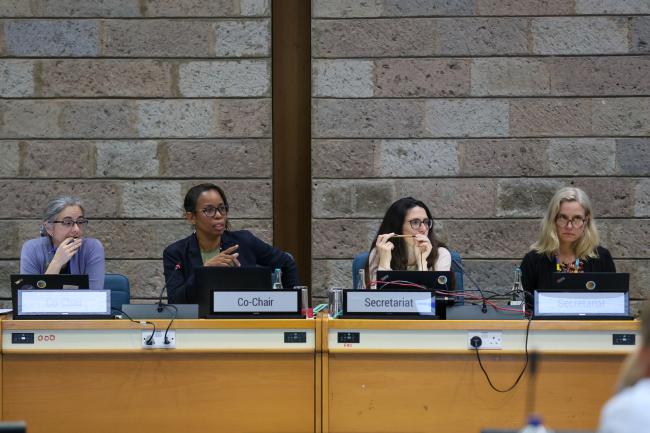View of the dais during the Contact Group on mechanisms for planning, monitoring, reporting and review
