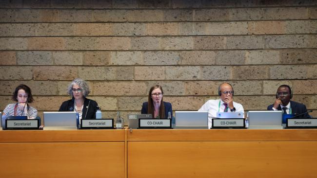 View of the dais during the Contact Group on capacity building and development, technical and scientific cooperation, and technology transfer 