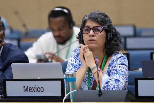 Andrea Cruz Angón, Mexico