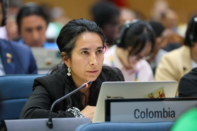 Laura Bermúdez, Colombia