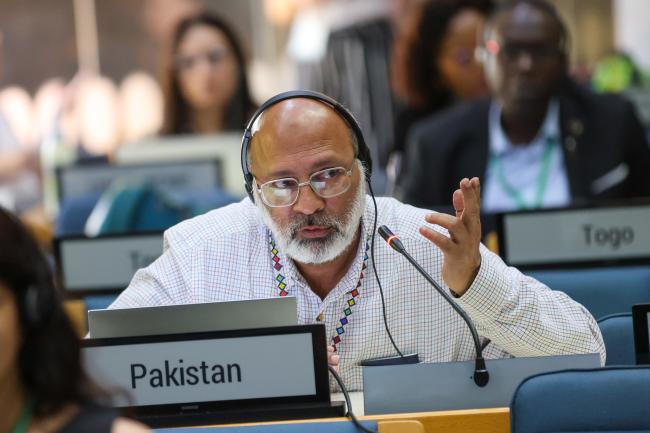 Naeem Ashraf Raja, Pakistan