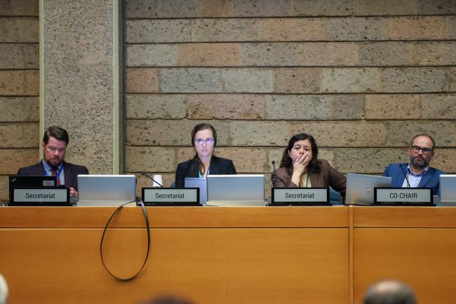 View of the dias during the Contact Group on Marine and Coastal Biodiversity