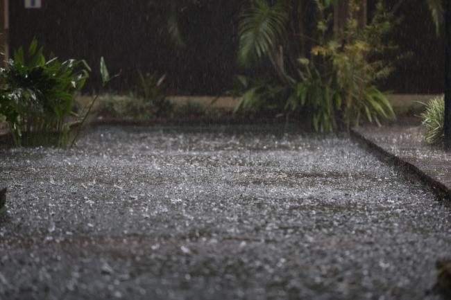 Rain