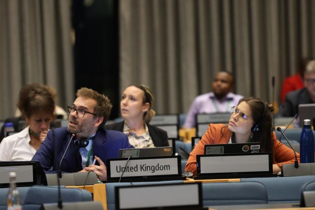Delegates from the UK