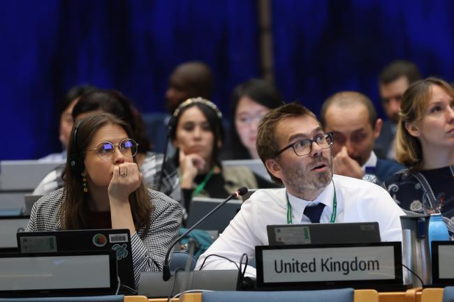 Delegates from the UK