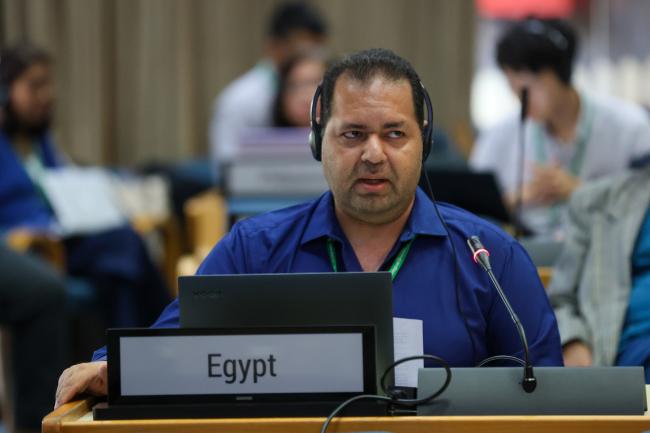 Contact Group Co-Chair Ossama AbdelKawy, Egypt