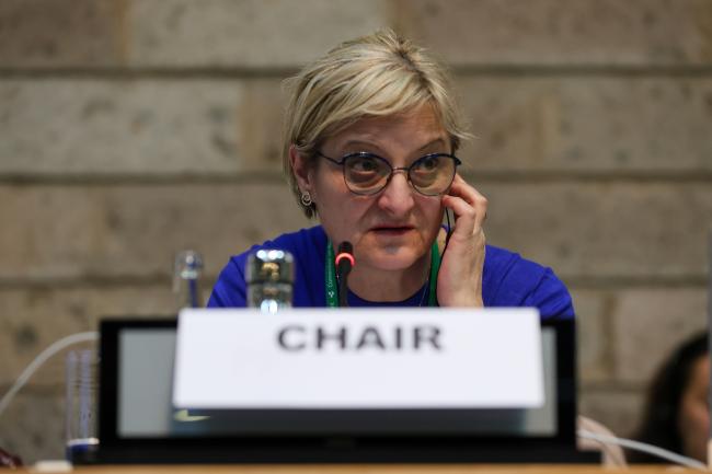 SBSTTA 26 Chair Senka Barudanović, Bosnia and Herzegovina