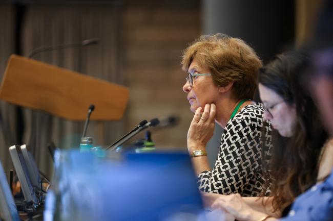 Contact Group on the GBF monitoring framework Co-Chair Anne Teller, EU