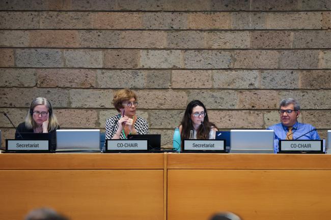 View of the dais during the  Contact Group on the GBF monitoring framework