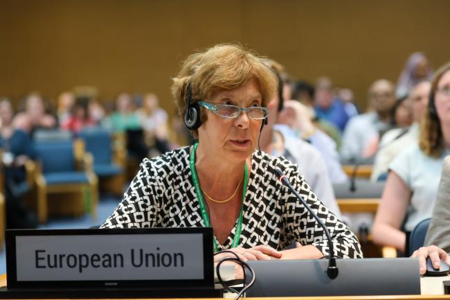 Anne Teller, EU