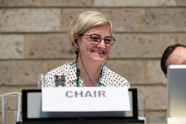 SBSTTA 26 Chair Senka Barudanović, Bosnia and Herzegovina