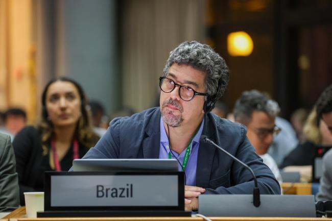Gustavo de Britto Freire Pacheco, Brazil