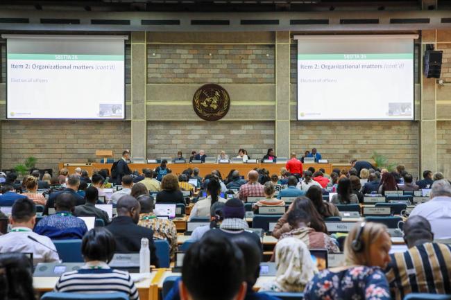 View of the room during plenary