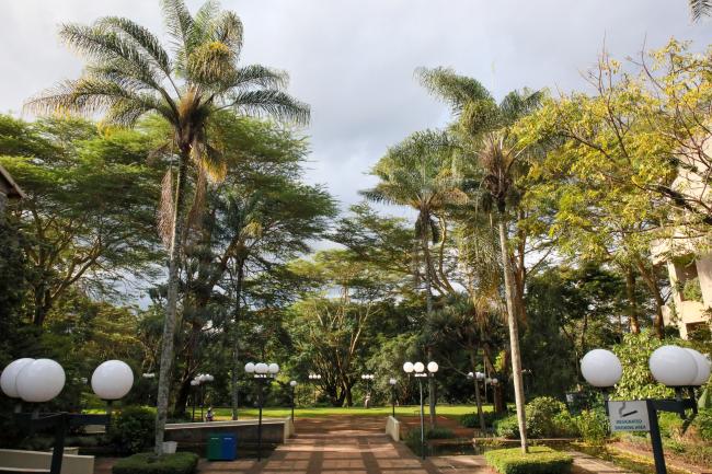 Around the Venue