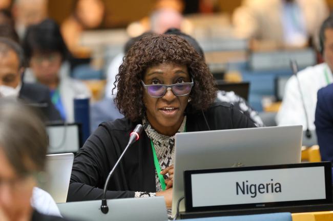 Agnes Yemisi Asagbra, Nigeria