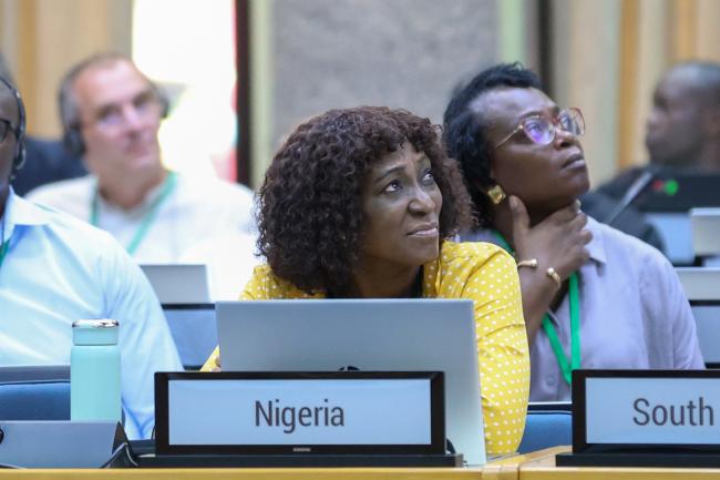 Agnes Yemisi Asagbra, Nigeria