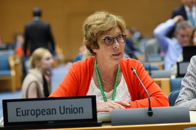 Anne Teller, EU