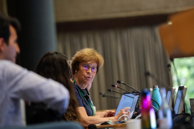 Contact Group Co-Chair Anne Teller, EU