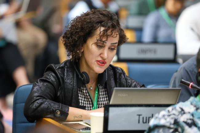 Aysun Demet Güvendiren, Türkiye
