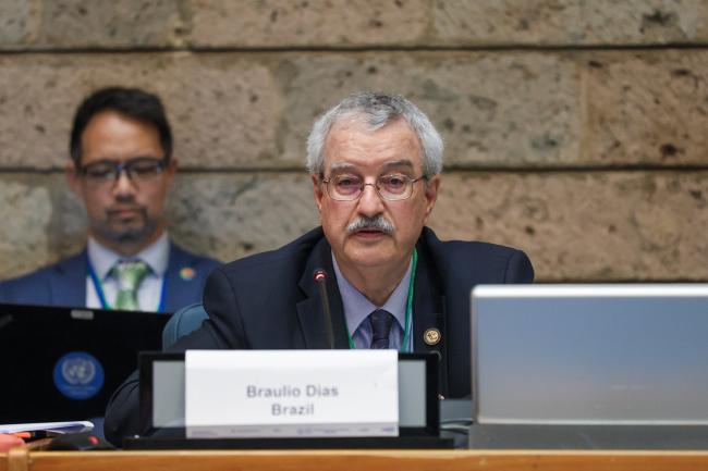 Braulio Ferreira de Souza Dias, Brazil