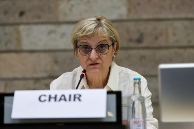 SBSTTA 26 Chair Senka Barudanović, Bosnia and Herzegovina