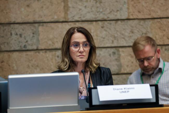 Diane Klaimi, UNEP