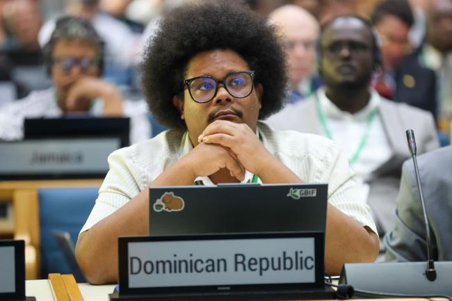 Francis Omar Reyes Polanco, Dominican Republic