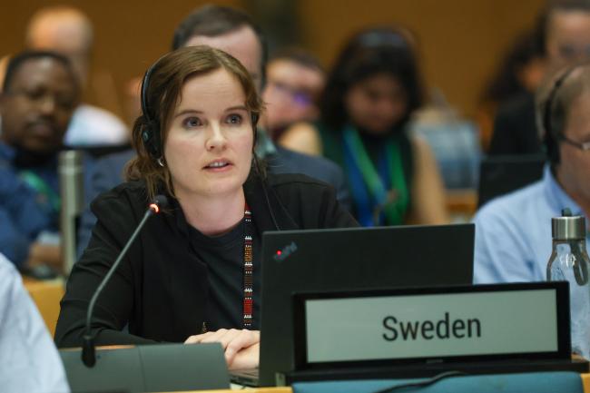Linn Appelgren, Sweden